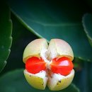 힐타운 공인중개사사무소 이미지