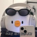 로페즈하키