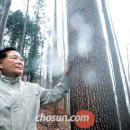 강진백제약국 이미지