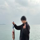 승봉리 선착장 공중화장실 | [초보 낚시꾼의 인천 승봉도 1박 2일 낚시 후기 🌊!숭어도 잡았다!] 승봉도 선착장 낚시포인트&amp;해루질