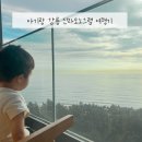 (주)넷돌 | 강릉 신라모노그램 아기랑 디럭스 패밀리 오션뷰 수영장 여행일정 맛집 놀거리까지 총정리