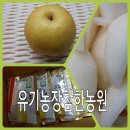 김종연농장 이미지