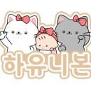 하유니본(hayuni_bon)