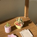 신상중학교 | 대구 경북 구미 겨울방학 키즈 원데이 클래스 식물수업 제스모나이트 친환경화분 수업