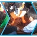 방장산민박 이미지