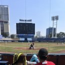 다이노스빌 이미지