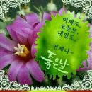 좋은날 Daum카페