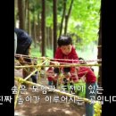 세움아이유치원 이미지