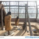 관양동 청동기유적 이미지