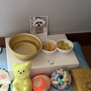 유안경원 이미지