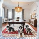 보성시장 (시민회관방면) | 과천 폼스키분양 로컬 전문가가 알려주는 장기 만족 포인트