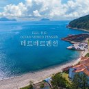 메르베르스파애견펜션 이미지