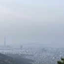 하이뚱딴지