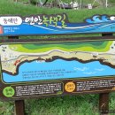 동해안연안녹색길 이미지