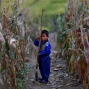 한초농장 이미지