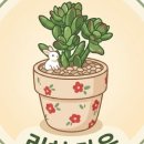 로맨스 다육 네이버블로그