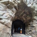 심천치유자연휴양림 | 충북 옥천 장령산자연휴양림 - 숲치유 프로그램 이용 후기