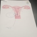 아이리스의원 이미지