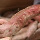 광식농장 이미지