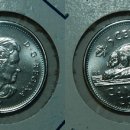 (주)블루다임 이미지