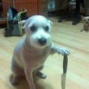 냠냠쩝쩝 이미지