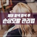 선현헤어 이미지