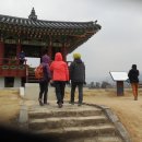 해미칼국수 이미지