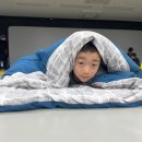 월드TIGER태권도장