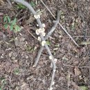 코리아둘레길80차 남파랑길65-2코스 남파랑길66코스 고흥구간 이미지