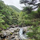 2026 9월19일(토) 밀양 구만산 정기산행 이미지