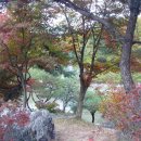 아프리카박물관 이미지