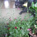 191207 그물에 걸린 도루묵 뜯으러… 양양으로 오세요 이미지