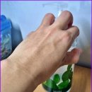 주원갤러리 | 야다 선인장수딩젤로 피부진정시켜본 후기