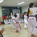 창조태권도장 이미지