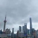 마로니에공인중개사사무소 이미지