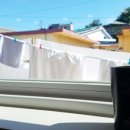 속초휘테 이미지