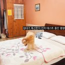 하얀미소 펜션 이미지