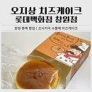 롯데백화점 창원점 | 롯데백화점 창원점 팝업ㅣ오지상 치즈케이크 후기