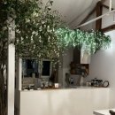 고내리본 이미지