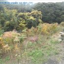 서귀포성결교회 이미지