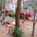 한라수목원 이미지