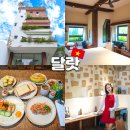 늘푸른세탁 | 달랏숙소 추천 무아 달랏 웰니스 호텔 객실 조식 후기