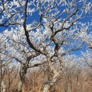 하얀풍경 이미지