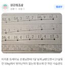 고릴라멀티짐 이미지