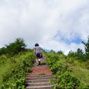 알프스4호태양광발전소 | 제주도 영주산 왕복 1시간 가볍게 오를 수 있었던 제주도 오름