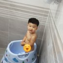 자르죠