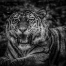 말렌미술학원 이미지