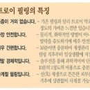 사계절 피부샵