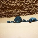 안덕의원 이미지