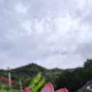 숫타니파타 3:9-653 사경모음 이미지